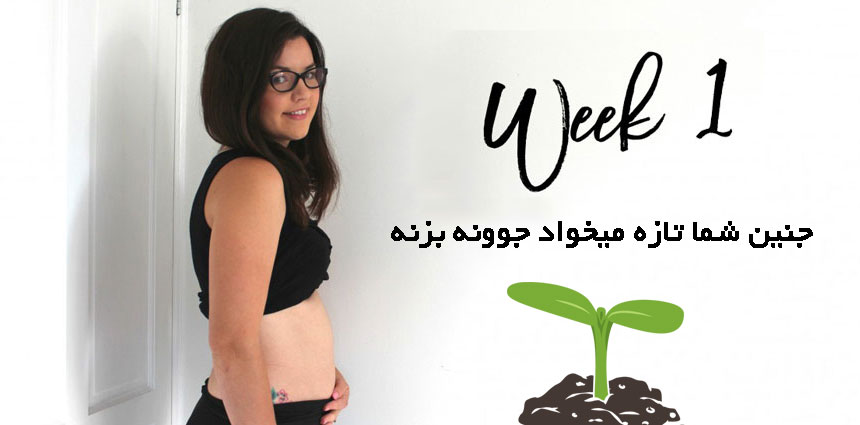 وضعیت مادر در هفته اول بارداری - قلقلی خان