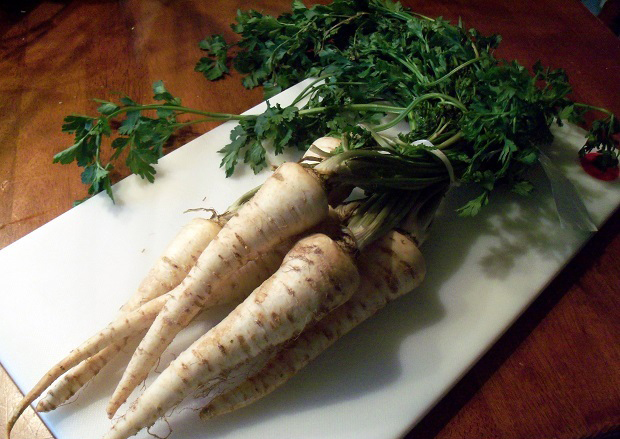 عصاره ریشه گیاه جعفری برای درمان گیاهی تبخال تناسلی - قلقلی خان عصاره ریشه گیاه جعفری برای درمان گیاهی تبخال تناسلی - قلقلی خان